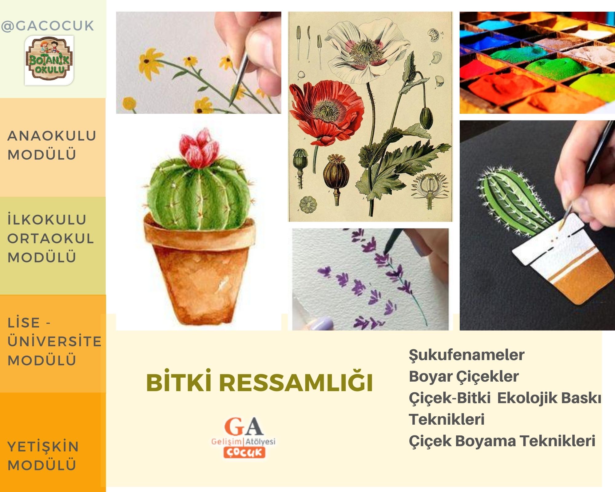 Bitki Ressamlığı Atölyeleri 
